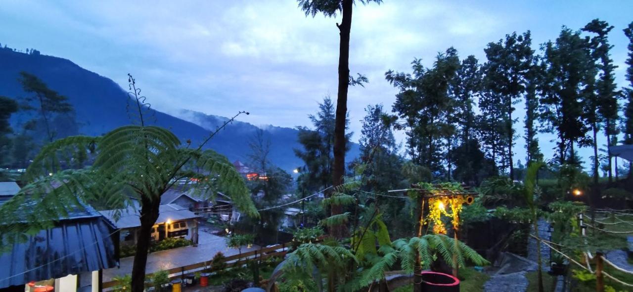 Tube Bromo Homestay Probolinggo Ngoại thất bức ảnh