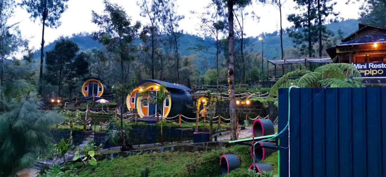 Tube Bromo Homestay Probolinggo Ngoại thất bức ảnh